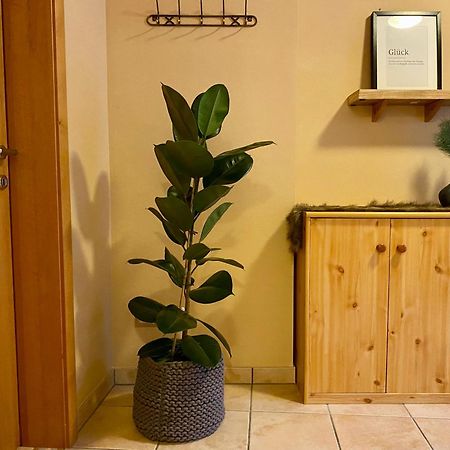 Appartement Auwald Forstau  Extérieur photo